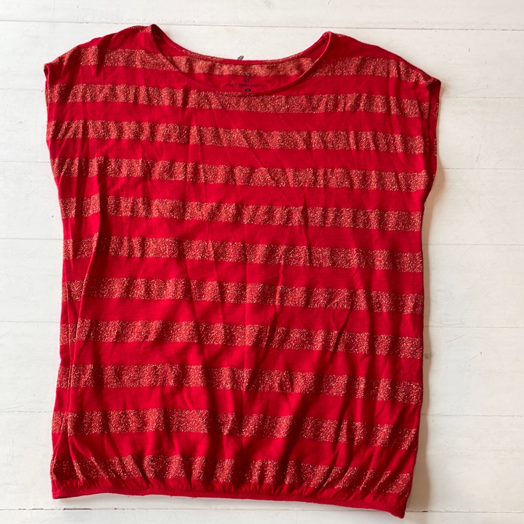 New York And Company Xs Red And Gold Sleeveless Striped Top.